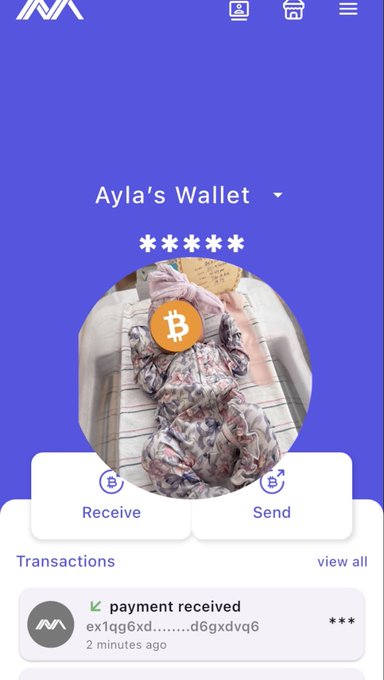 A mobile cryptocurrency wallet app called 'Ayla's Wallet' displays a masked profile picture with a Bitcoin icon, showing options to Receive or Send and a recent 'payment received' transaction.