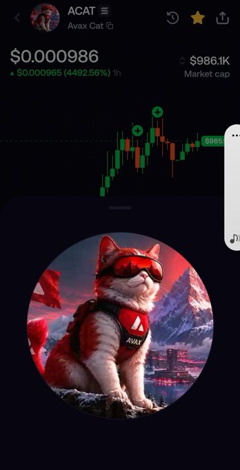 A mobile trading screen for the ACAT (Avax Cat) token priced at $0.000986, showing a massive 4492.56% gain alongside an illustration of a cat in ski goggles with an 'AVAX' vest.