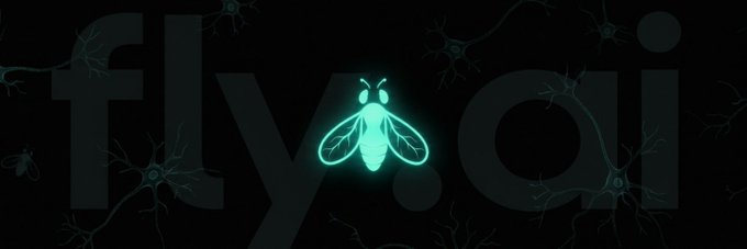 A glowing cyan fruit fly illustration is centered against a dark background filled with faint neuron-like silhouettes, visually representing the digitized fruit fly brain. The faded "fly.ai" logo behind it reinforces the project's branding and concept of a real neural connectome made accessible on-chain.
