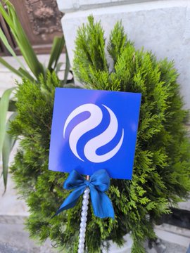 The image features a potted plant with a blue ribbon tied around its base, sitting next to a green bush or tree. The background of the photo appears to be a wall or building, but there are no texts present. The focus of the image is on the potted plant and the ribbon, creating an interesting contrast between the natural elements and the man-made structure in the background.