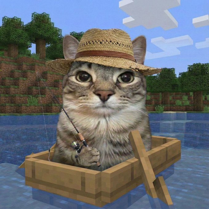 A humorous edited image showing a cat's face photoshopped onto a Minecraft character's body, sitting in a wooden boat wearing a straw hat and holding a fishing rod.