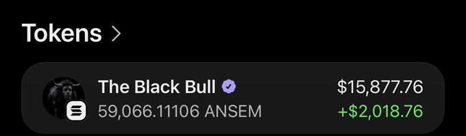 A digital wallet screenshot showing "The Black Bull" wallet holding 59,066.11106 $ANSEM tokens, valued at $15,877.76 (+$2,018.76), illustrating the poster's position in the token they discussed buying.
