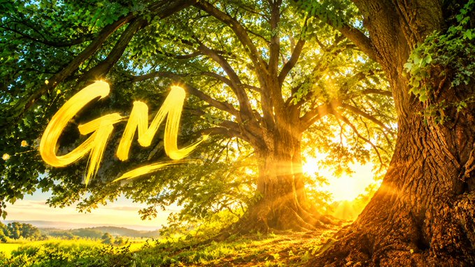 A digitally created image featuring the glowing golden text 'GM' overlaid on a sunlit scene of large trees.