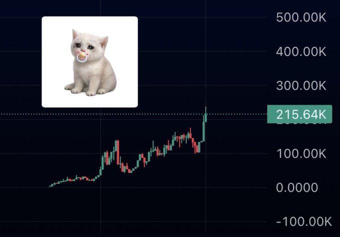 A candlestick price chart shows a meme token reaching a high of 215.64K, paired with an image of a white kitten with a pacifier—visually representing the "$BABYCASHCAT" token highlighted in the post as a fresh beta narrative play.