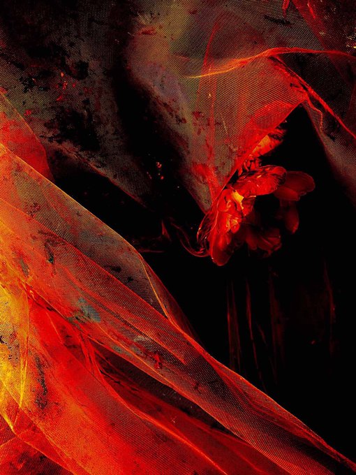 An abstract digital artwork dominated by fiery red, orange, and black tones, depicting what appears to be translucent flowing fabric or wings alongside a small red flower against a dark background.