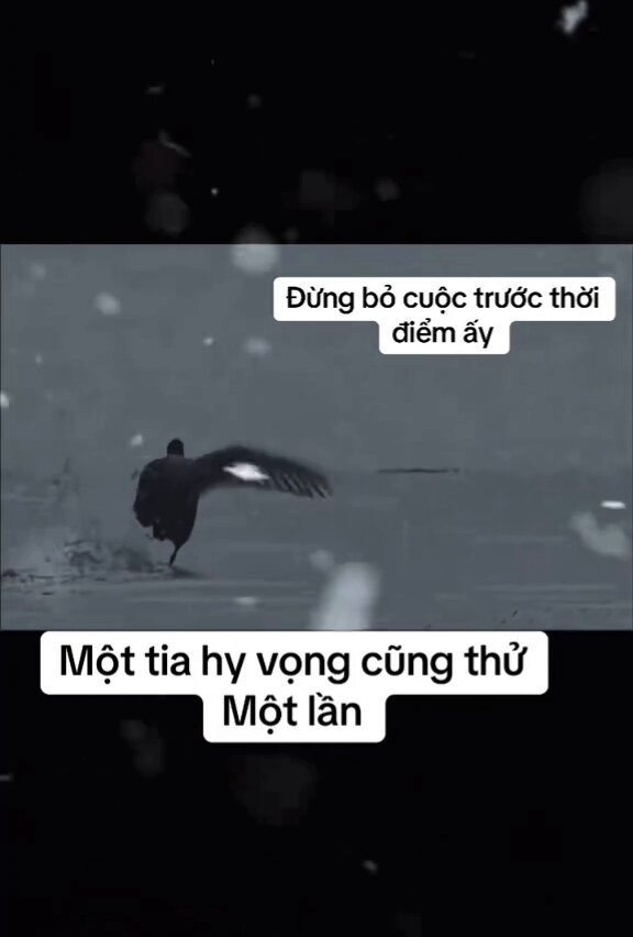 The image features a black bird flying over water, with text written below that translates to "Dung bo cýc trọc thíân dèng không bỏ cuộc." The bird is captured in mid-flight and appears to be soaring above the water. The image also includes a caption in another language, which reads: "Mạt tia hy vý cóc thíân dèng không bỏ cuộc." This translates to "The bird is flying over the water".