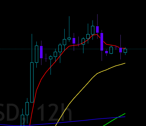 A 12-hour candlestick chart with moving averages shows a cryptocurrency or stock price that rallied sharply then reversed into a downtrend, likely prompting the post's skeptical warning about imminent "herp n derp bros" commentary on the reversal. The visible text "SD 12h" indicates the timeframe of the price action being discussed.