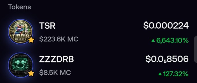 A token price tracker showing TSR at $0.000224 with a $223.6K market cap and a massive 6,643.10% gain, and ZZZDRB at $0.08506 with a $8.5K market cap and a 127.32% gain.