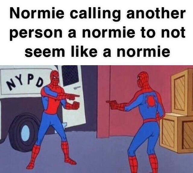 The image is a meme showing two identical Spider-Men pointing at each other accusingly in front of an NYPD van, with the caption "Normie calling another person a normie to not seem like a normie." It humorously relates to the post by mocking the poster's attempt to use crypto slang ("normie bag," "giga runner") to appear insider-savvy, when ironically such jargon is itself a cliché "normie" behavior in meme culture.