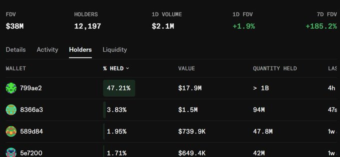 A cryptocurrency holders dashboard showing $38M FDV, 12,197 holders, $2.1M 1D volume, with the top wallet (799ae2) holding 47.21% valued at $17.9M.