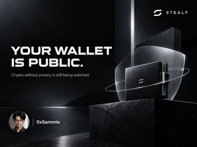 A dark promotional graphic for STEALF with the headline 'YOUR WALLET IS PUBLIC. Crypto without privacy is still being watched,' featuring a 3D rendered wallet and credited to '0xSammie'.