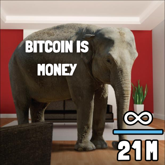 An elephant stands in a red room with text 'BITCOIN IS MONEY' overlaid, alongside an infinity symbol and '21M' referencing Bitcoin's fixed supply cap.