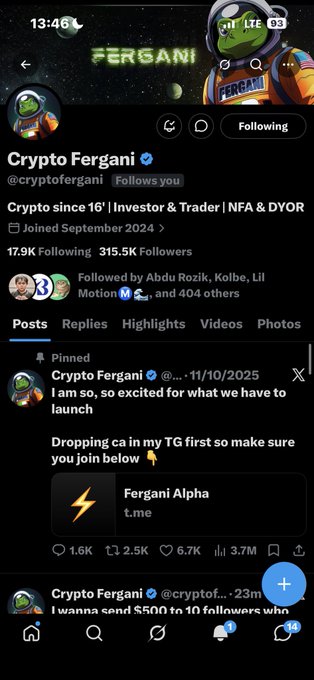 A mobile screenshot of an X (Twitter) profile for 'Crypto Fergani' (@cryptofergani), a crypto account with 315.5K followers, showing pinned posts about launching a project and a Telegram link for 'Fergani Alpha'.