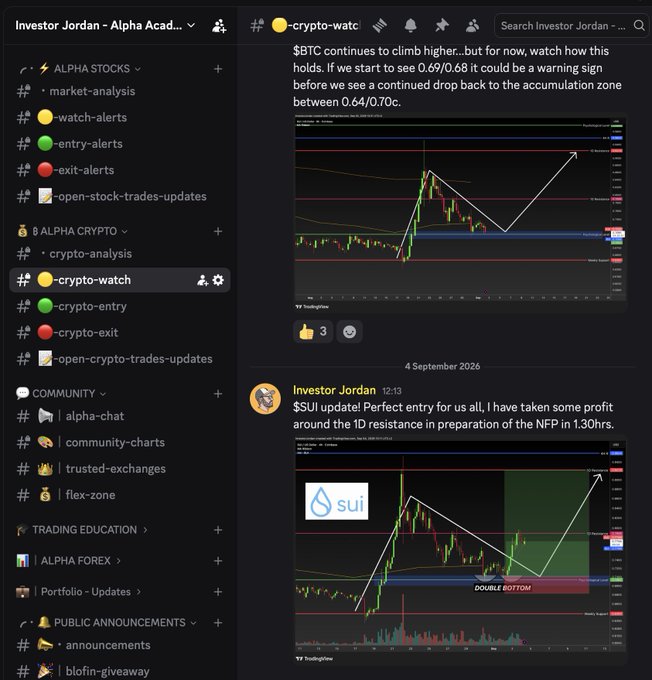 The image shows Investor Jordan’s Discord crypto-watch channel, featuring a “$SUI update! Perfect entry…” post alongside TradingView charts. The SUI chart highlights a “DOUBLE BOTTOM” and a projected run toward $1 after breaking 1D resistance, supporting the claim of a bounce from major support.