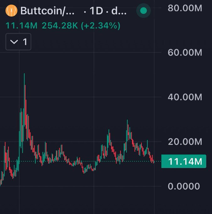 A dark-themed crypto trading chart for 'Buttcoin' on a 1-day timeframe, showing volume of 11.14M and a current value of 254.28K (+2.34%), with a price of 11.14M and historical highs near 80.00M.