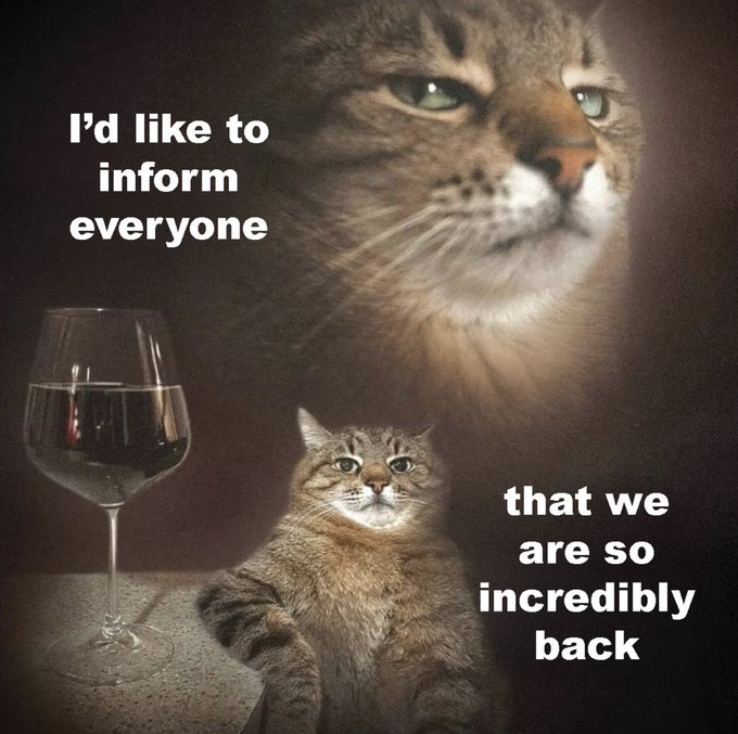 A meme image featuring two cats with serious expressions next to a wine glass, with text reading 'I'd like to inform everyone that we are so incredibly back'.