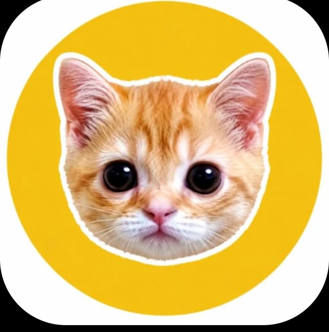 An orange tabby kitten with big dark eyes centered on a yellow circular background.