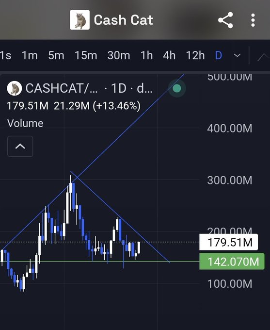 A trading chart screenshot from TradingView for 'Cash Cat' (CASHCAT) showing a 1D price increase of +13.46% to 179.51M, with a blue triangle pattern drawn over the candlesticks.
