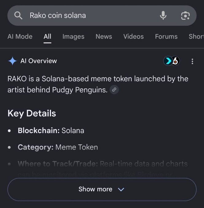 A Google search for "Rako coin solana" displays an AI Overview confirming that RAKO is a Solana-based meme token launched by the artist behind Pudgy Penguins, with key details listing its blockchain as Solana and category as Meme Token.