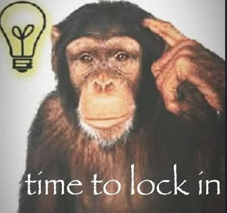 The image shows a thoughtful chimpanzee with its hand raised to its temple next to a glowing lightbulb, suggesting an "aha" or deep-thinking moment, accompanied by the text "time to lock in." This perfectly mirrors the post's theme of reflection, learning from mistakes (like the rugged gold coin and fake Trump token), and refocusing on informed crypto decisions.