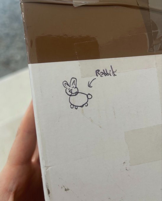 A hand holds a cardboard box with a hand-drawn rabbit sketch and the handwritten word 'Rabbit' on a taped label.