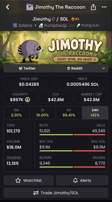 A cryptocurrency tracking app showing the Jimothy The Raccoon (JIMOTHY) token on Solana via PumpSwap, priced at $0.04285 (0.0005496 SOL) with a market cap of $42.8M and 24h gain of 142%.