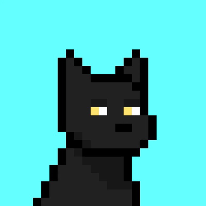 A minimalist pixel art illustration of a black cat with yellow eyes set against a teal background.
