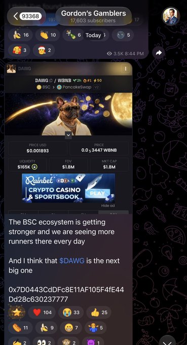 A Telegram post from 'Gordon's Gamblers' (17,003 subscribers) advertises a crypto token called '$DAWG' (WBNB) on PancakeSwap V2, noting 'The BSC ecosystem is getting stronger' and suggesting '$DAWG is the next big one' along with a contract address.