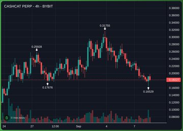 A 4-hour candlestick chart for CASHCAT PERP displays a price peak of 0.35765 followed by a decline to a current level of 0.18829, with notable swing highs and lows marked at 0.29059, 0.17676, and 0.18829 across late August and early September trading sessions.

The chart illustrates the meme token's recent rally and pullback, visually supporting the post's claim of community-driven support by showing the volatile price action that traders like AltOnChain are backing with significant capital.