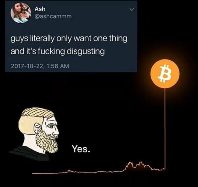 A meme combining a 2017 tweet with a Bitcoin price chart, suggesting Bitcoin holders only want one thing, with a bearded character saying 'Yes.'