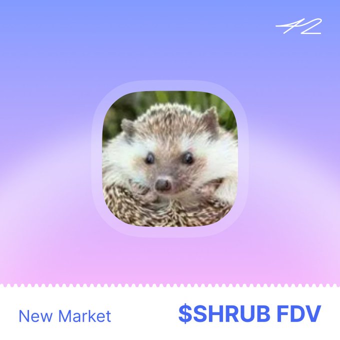 A hedgehog image featured as the avatar for the $SHRUB token on 42 Space, displayed in a rounded purple app icon with "42" in the top right corner and "New Market $SHRUB FDV" text at the bottom. The hedgehog mascot cleverly ties into the token's name, as Shrub is the name of Elon Musk and Shivon Zilis's pet hedgehog.