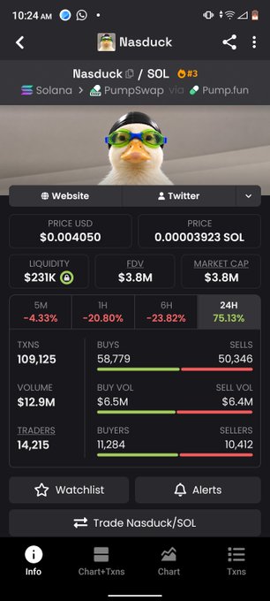 A mobile screenshot of the Nasduck/SOL token page on a DEX tracker, showing a price of $0.004050 (0.00003923 SOL), a market cap of $3.8M, $231K liquidity, and a 24H change of +75.13%, featuring a duck mascot image.