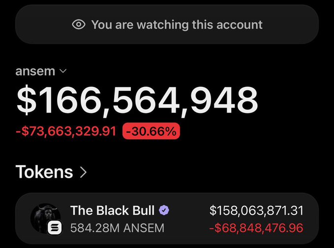 The image shows a crypto portfolio tracker displaying the account "ansem" with a balance of $166,564,948, down $73,663,329.91 (-30.66%), with a top holding "The Black Bull" at $158,063,871.31 (down $68,848,476.96). The dashboard visually confirms the post's claim of massive losses, showing Ansem's portfolio has plunged over 30% with the Black Bull token alone shedding nearly $69 million.