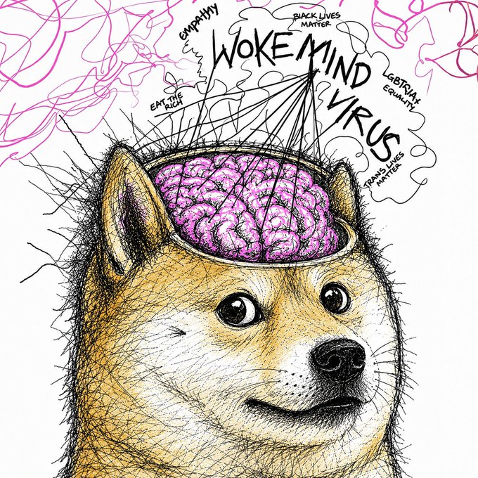 The image features a cartoon depiction of a dog with a pink brain inside its head, surrounded by pink lines. The caption below the drawing reads "WokeDoge is now live on ETH CA: 0xc983bb7ffac195e534616a0864da924r". This post seems to be discussing the concept of the WokeDoge character and his connection to the virus that affects the brain. The image also includes a drawing of a dog with a pink brain, which adds an artistic touch to the overall presentation.
