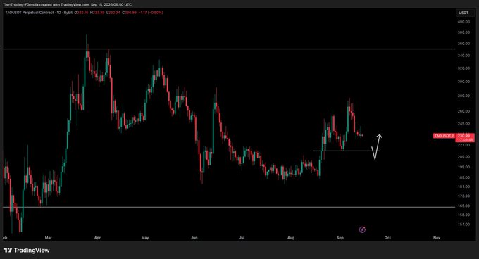 A TradingView candlestick chart for the TAO/USDT Perpetual Contract shows the price action with annotations including a horizontal support line and a zigzag arrow indicating potential future movement.