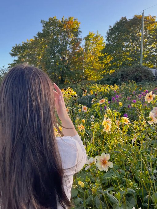 A woman with long dark hair viewed from behind, reaching out toward yellow flowers in a sunlit garden.