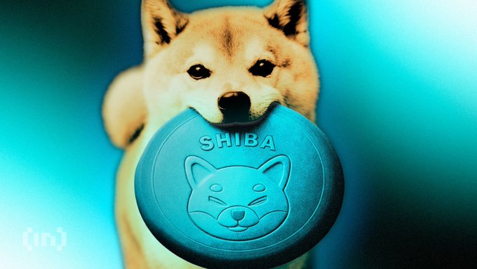 A Shiba Inu dog holding a blue frisbee that says 'SHIBA' with a winking dog face emblem, against a blue background.
