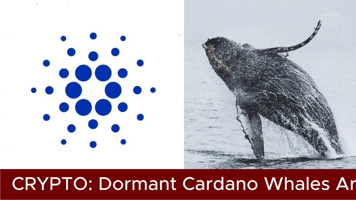 The image features a large whale with its head raised high above the water, creating an impressive display of nature's power. The background of the image is white, which contrasts nicely with the dark blue whale. Below the whale, there are two logos - one in blue and the other in red. The blue logo is a circular design that resembles a bunch of dots, while the red logo is a simple line drawing of a circle. The text "crypto: Dormant Cardano Whales Ar" is written below these logos, indicating their connection to cryptocurrency and the world of whaling.