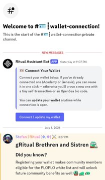 A Telegram screenshot of the #wallet-connection channel featuring a message from Ritual Assistant Bot announcing the 'Connect Your Wallet' feature with instructions for connecting wallets.