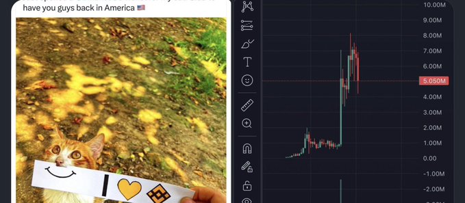 A meme image showing a cat holding a sign that says "I ❤️ [emoji]" with text "have you guys back in America 🇺🇸" alongside a stock chart displaying a price around 5.05M.