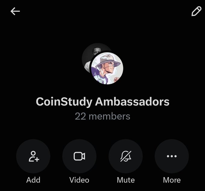 A dark screen shows a 'CoinStudy Ambassadors' group with '22 members' and a profile picture of an anime-style character, with options to Add, Video, Mute, and More.