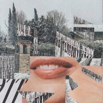 A surreal collage combining black and white photographs of a snowy garden with ice-covered trees and a cut-out image of smiling red lips.