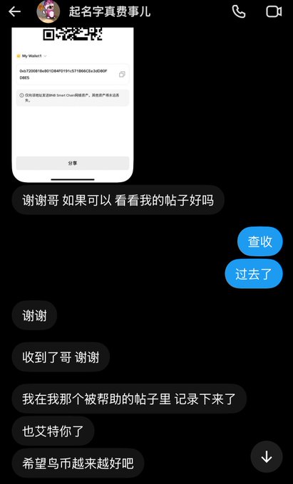 A WeChat conversation shows a user sharing a wallet screenshot labeled "My Wallet 1" with the message "谢谢哥 如果可以 看看我的帖子好吗" (Thank you brother, if possible, please look at my post?), followed by responses "查收" (Check/receive), "过去了" (Sent), and grateful replies thanking the sender and wishing "鸟市越来越好" (hope Birdcoin market gets better and better)—illustrating the real-world impact of the small Birdcoin airdrops described in the post, where modest contributions deliver meaningful hope to recipients who then express gratitude and faith in the Birdcoin community.