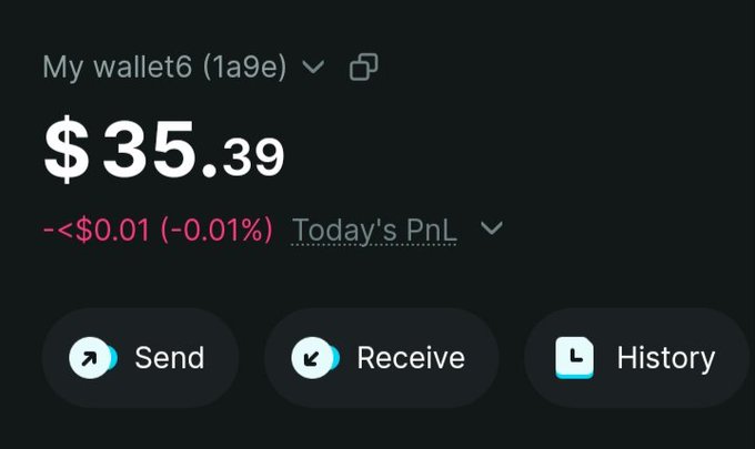A crypto wallet interface displaying a balance of $35.39 in 'My wallet6 (1a9e)', showing today's PnL as less than -$0.01, with buttons to Send, Receive, and view History.