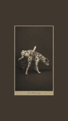 Small dark-toned artwork or print showing a spotted feline (possibly a leopard or cheetah) against a brown background.
