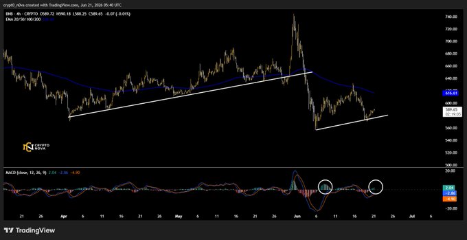 In this image, you can see a chart displaying two lines with different colors - blue for the downward trend line of GM CT! $BNB and yellow for the upward trend line of MACD. The upward line, labeled "MCD" in yellow, is flashing an alert signal with a large "!" above it. Additionally, there's another chart showing a rising trendline. The post also includes some technical indicators related to MACD and GM CT! $BNB. There are mentions about the next move, key resistance, and a possible bullish trendline in play, as well as a break above the 200 EMA indicating an opportunity for higher profits.