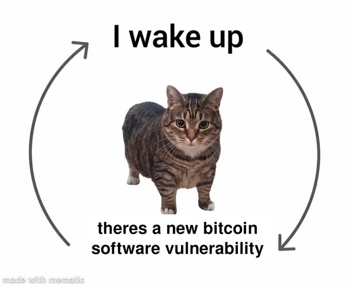 A meme featuring a tabby cat in a cyclical arrow diagram with text reading 'I wake up' at the top and 'theres a new bitcoin software vulnerability' at the bottom.