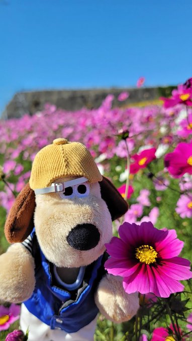 A plush dog toy wearing a yellow cap and blue outfit poses among pink cosmos flowers under a clear blue sky.