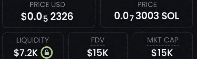 A dark-themed cryptocurrency dashboard displays a token priced at $0.05 USD (0.000073003 SOL), with $7.2K liquidity, a $15K FDV, and a $15K market cap—numbers that match the post's claim of sharing a project at a 15k mc, reinforcing the "1000x" potential narrative by highlighting the ultra-low market cap entry point.
