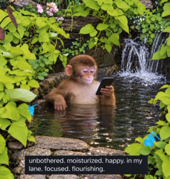 A young monkey sits in a small pond surrounded by lush greenery and a waterfall, looking at a smartphone. Text overlay reads: 'unbothered. moisturized. happy. in my lane. focused. flourishing.'